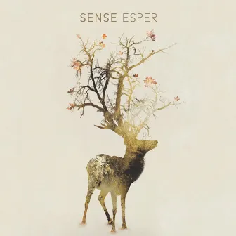 Esper by Sense