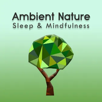 Ambient Nature (Sleep & Mindfulness) by Sleepy Times