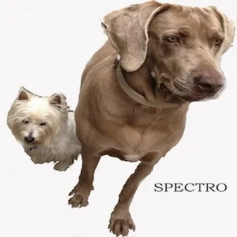 My Dog Barks - Single by Spectro