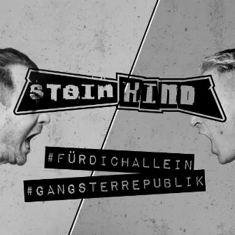 Für dich allein / Gangsterrepublik by Steinkind