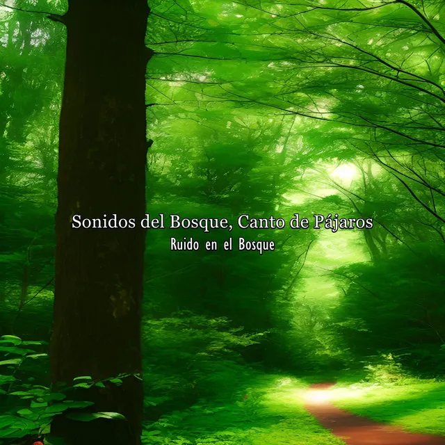 Sonidos del Bosque, Canto de Pájaros, Pt. 17