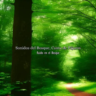 Sonidos del Bosque, Canto de Pájaros by Ruido en el Bosque