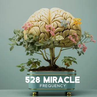 528 Miracle Frequency: Physical Healing on a Cellular Level by Hz Frequency Studio