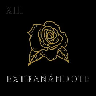 Extrañándote by Alexis Rosas