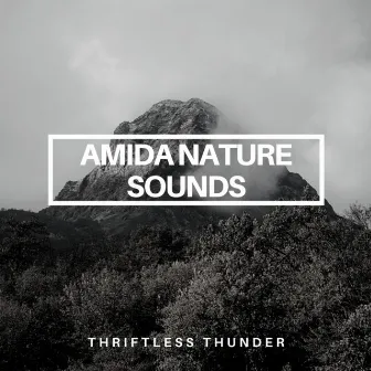 Thriftless Thunder by Amida Nature Sounds