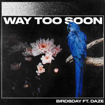 Way Too Soon by Birdsday