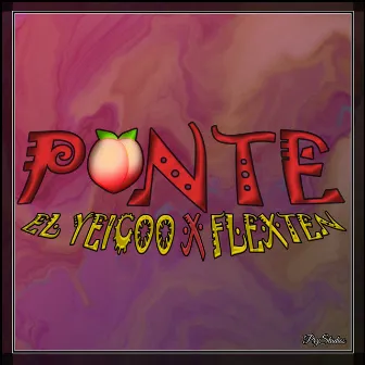 Ponte by Flexten