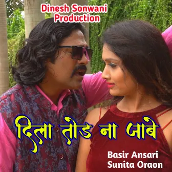 Dila Tod Na Jabe by Basir Ansari