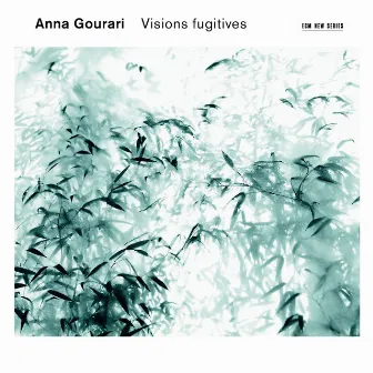 Visions fugitives by Anna Gourari