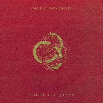 Calea Șarpelui, Vol. 1 by gAZAh