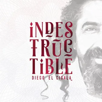 Indestructible: Track by Track by Diego El Cigala