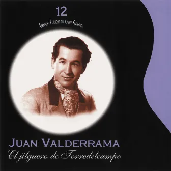 Grandes Clásicos del Cante Flamenco, Vol. 12: El Jilguero de Torredelcampo by Juanito Valderrama