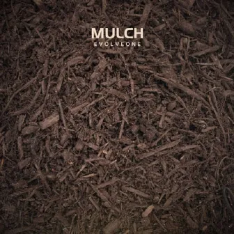 Mulch by Evolve One