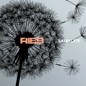 Satellite by Ries