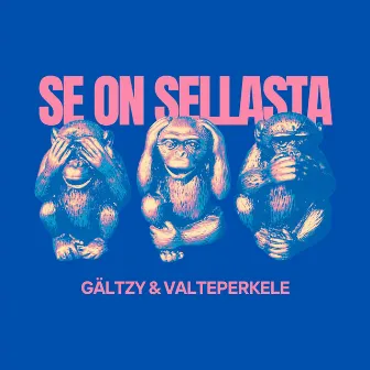 Se on sellasta by Gältzy