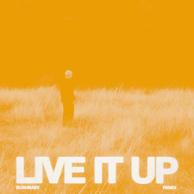 LIVE IT UP (Bushbaby Remix)