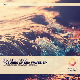 Pictures of Sea Waves by Eric de la Vega