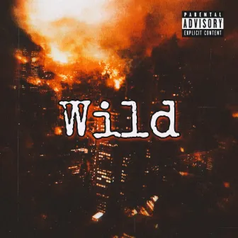 Wild by 9Melly