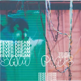 FEVER DREAM by Sam Pine