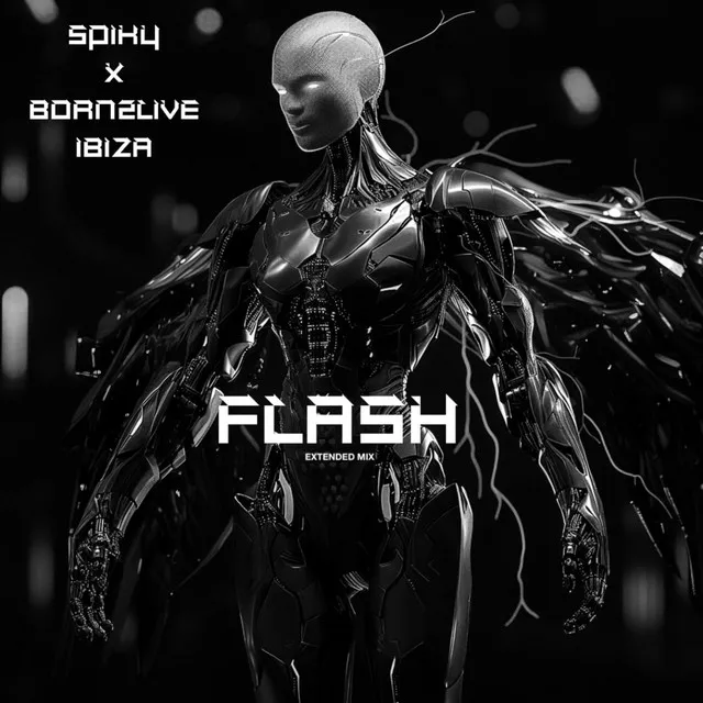 Flash (Extedend Mix) - Extended Mix