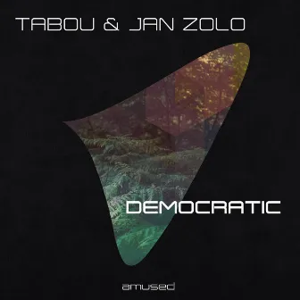 Democratic by Jan Zolo