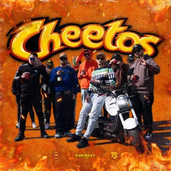 Cheetos by Bubi Flex