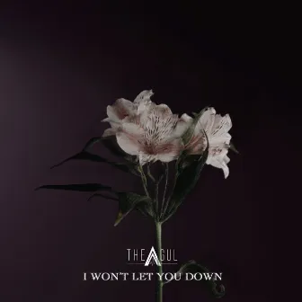 I won't let you down by THE AGUL