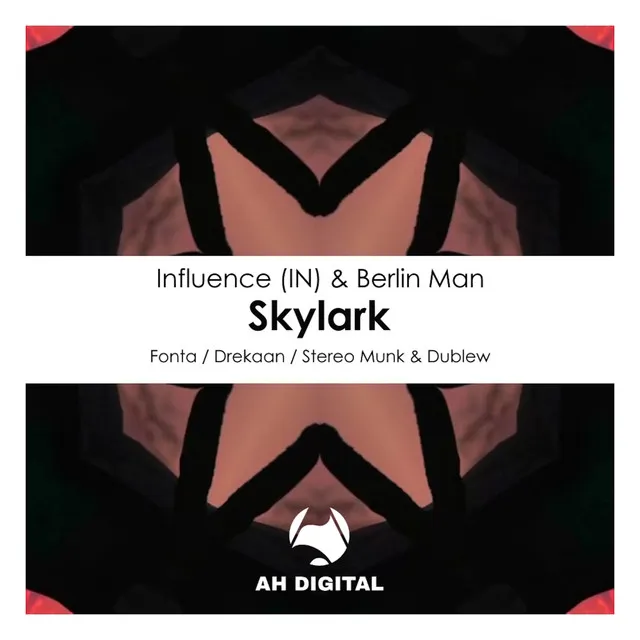 Skylark (Dublew & STEREO MUNK Remix)