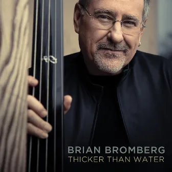 Thicker Than Water by Brian Bromberg