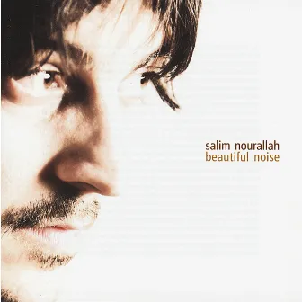 Beautiful Noise by Salim Nourallah