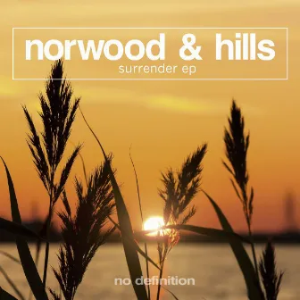 Surrender EP by Norwood & Hills