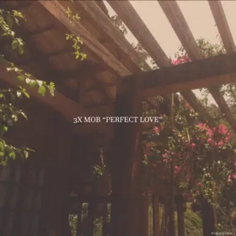 Perfect Love by 3x MOB