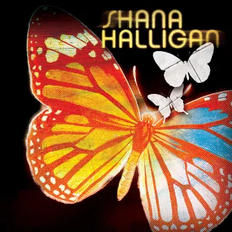 Paper Butterfly by Shana Halligan