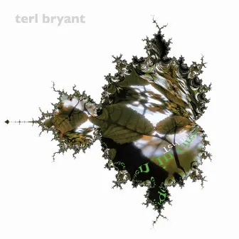 Hidden in Green (Instrumental Version) by Terl Bryant