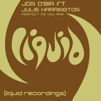 Perfect As You Are (feat. Julie Harrington) by Jon O'Bir