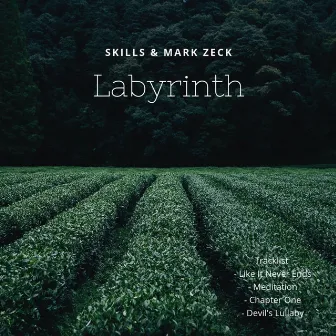 Labyrinth by Skills