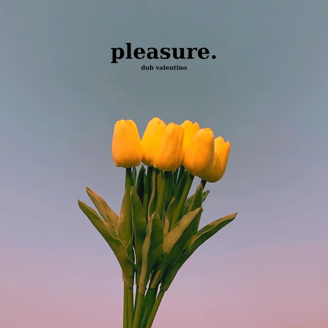 pleasure.