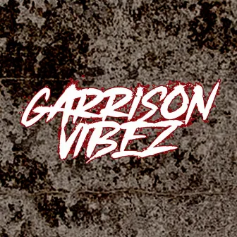 10Tik Garrison Vibez Freestyle by Garrison Vibez