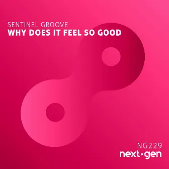 Why Does It Feel So Good by Sentinel Groove