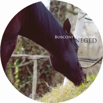 Bosconi Stallions - Neged by A Guy Called Gerald