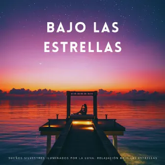 Sueños Silvestres Iluminados Por La Luna: Relajación Bajo Las Estrellas by Alba Criado