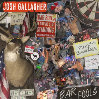 Bar Fools by Josh Gallagher