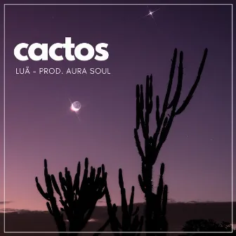 Cactos by Luã