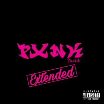 Pxnk (Extended Version) by Drebb