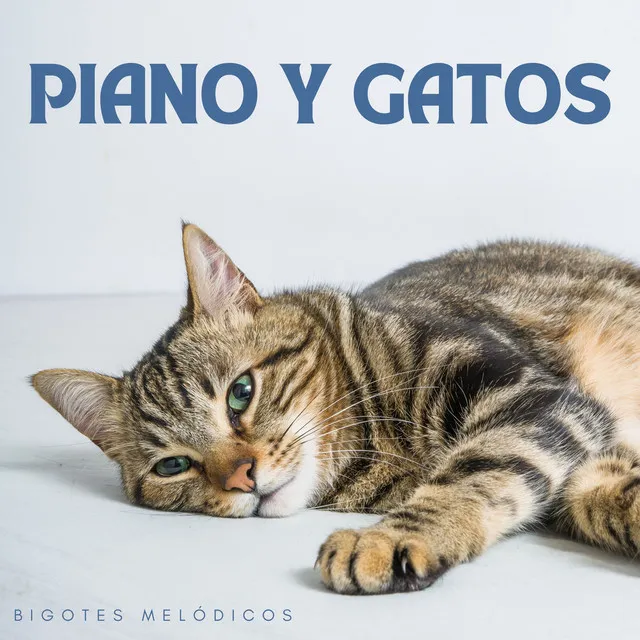 Piano Y Gatos: Bigotes Melódicos