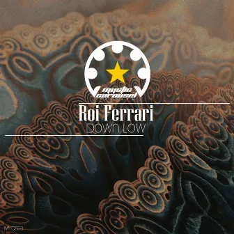 Down Low by Roi Ferrari