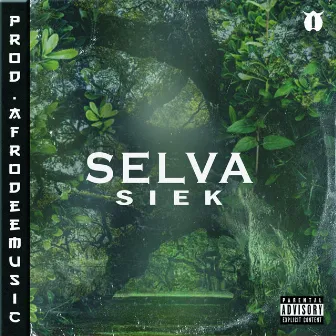 Selva by Afrodeemusic