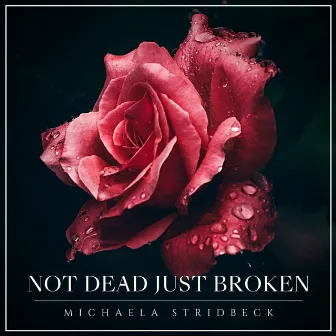 Not Dead Just Broken by Michaela Stridbeck