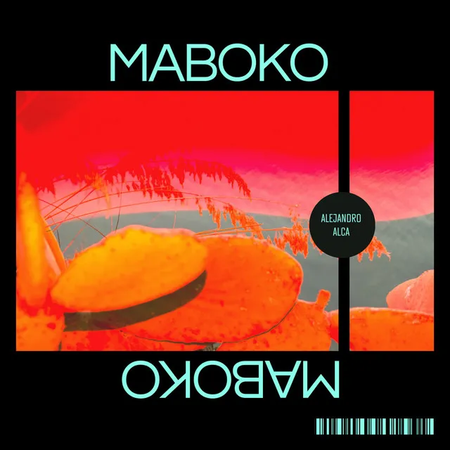 Maboko