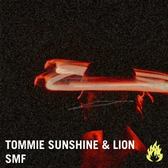 SMF by Lion